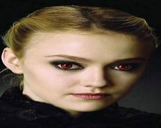暮光之城女主拍过的电影